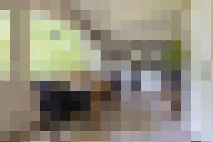 Gieterweg 13 47 Gasselte thumbnail 20