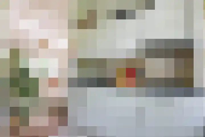 Gieterweg 13 47 Gasselte thumbnail 23