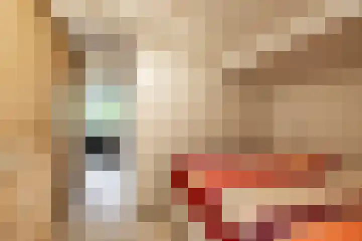 Gieterweg 13 47 Gasselte thumbnail 26