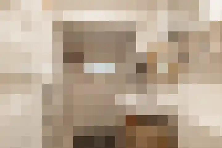 Gieterweg 13 47 Gasselte thumbnail 27