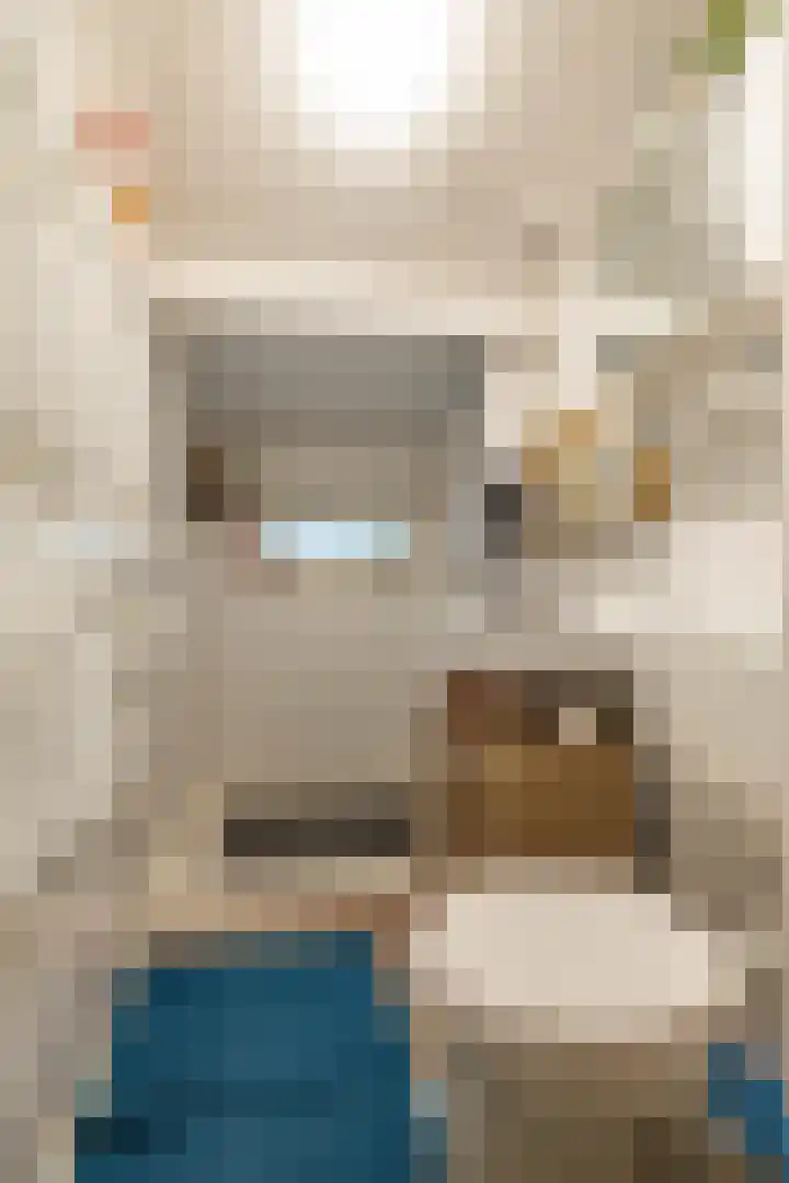 Gieterweg 13 47 Gasselte thumbnail 28
