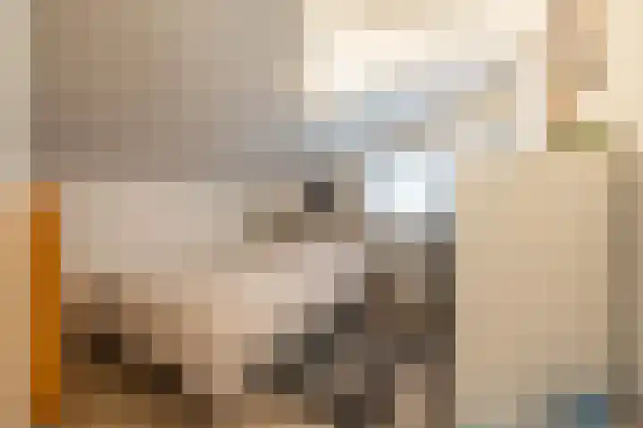 Gieterweg 13 47 Gasselte thumbnail 30