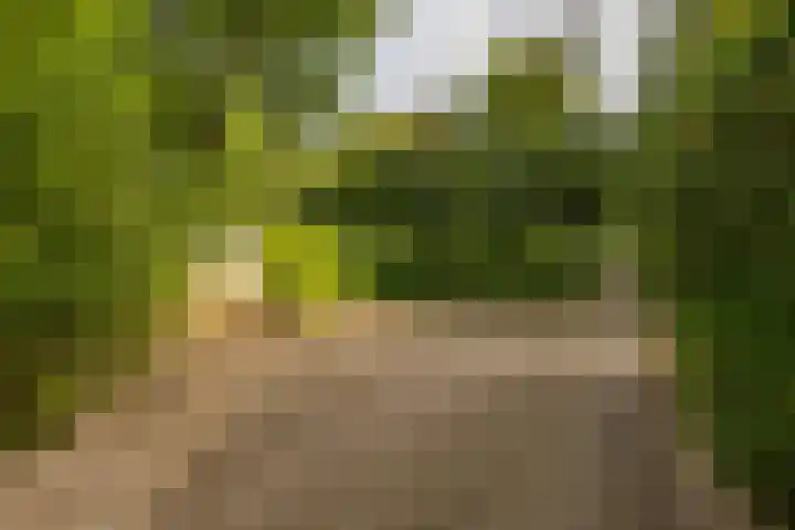Gieterweg 13 47 Gasselte thumbnail 34