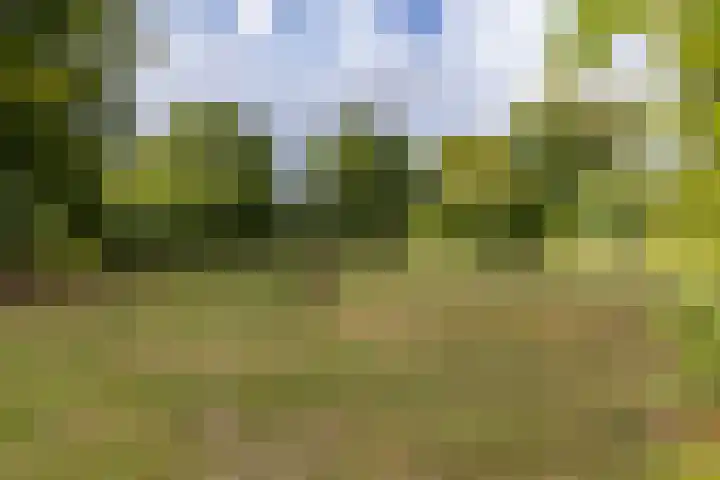 Gieterweg 13 47 Gasselte thumbnail 35