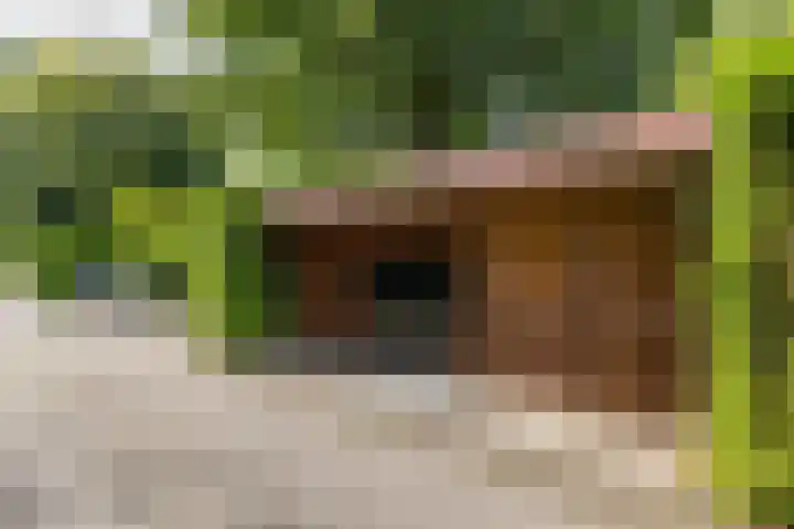 Gieterweg 13 47 Gasselte thumbnail 36