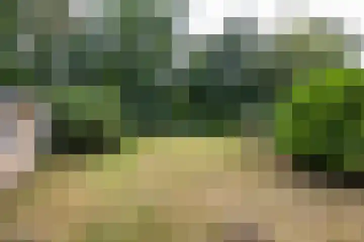 Gieterweg 13 47 Gasselte thumbnail 4