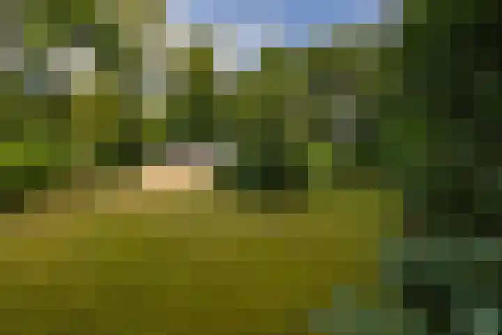 Gieterweg 13 47 Gasselte thumbnail 6