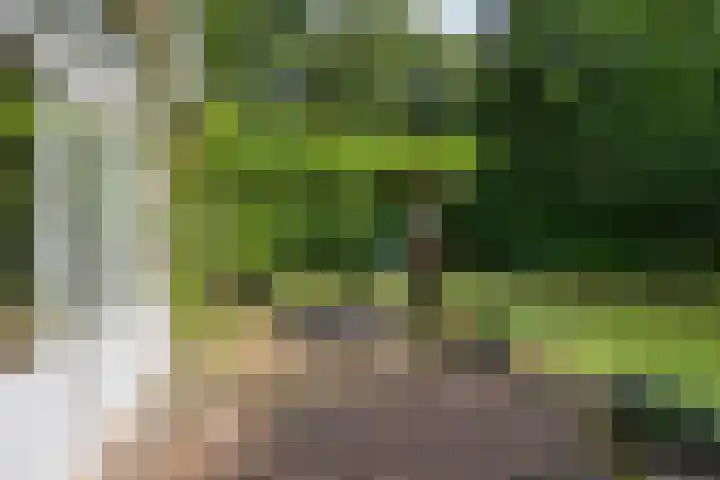 Gieterweg 13 47 Gasselte thumbnail 7