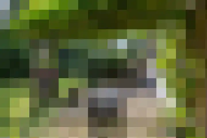 Gieterweg 13 47 Gasselte thumbnail 8