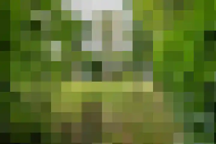 Gieterweg 13 47 Gasselte thumbnail 9