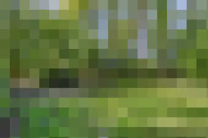 Gieterweg 6 a 14 Gasselte thumbnail 19