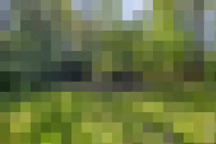 Gieterweg 6 a 14 Gasselte thumbnail 20