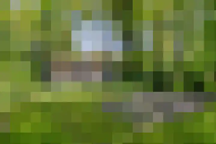 Gieterweg 6 a 14 Gasselte thumbnail 21