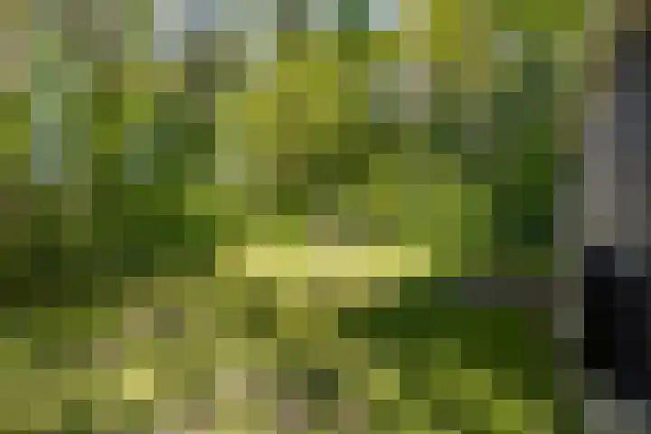 Gieterweg 6 a 14 Gasselte thumbnail 23