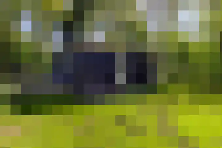Gieterweg 6 a 14 Gasselte thumbnail 24