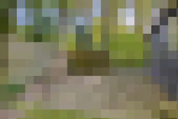 Gieterweg 6 a 14 Gasselte thumbnail 25