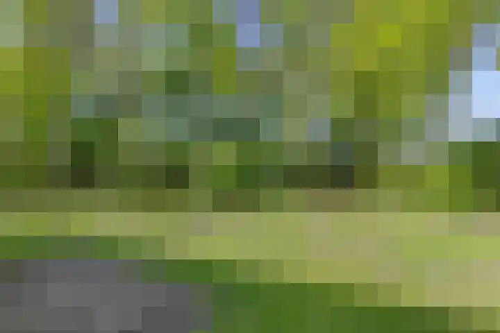 Gieterweg 6 a 14 Gasselte thumbnail 26