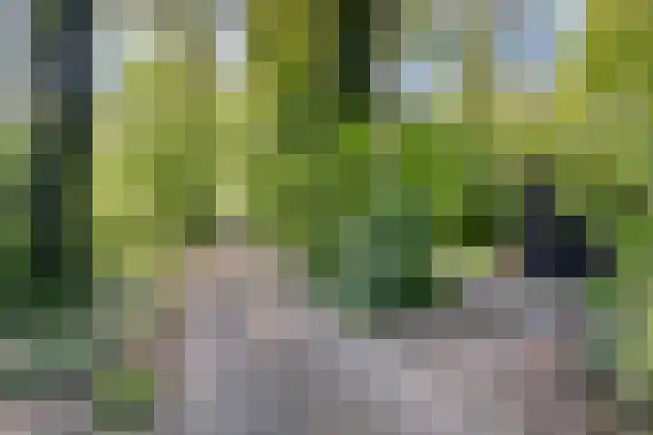 Gieterweg 6 a 14 Gasselte thumbnail 4