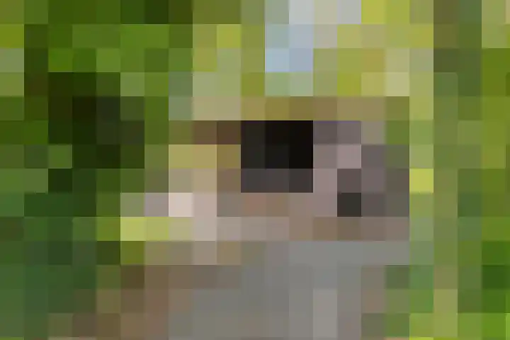 Gieterweg 6 a 14 Gasselte thumbnail 5