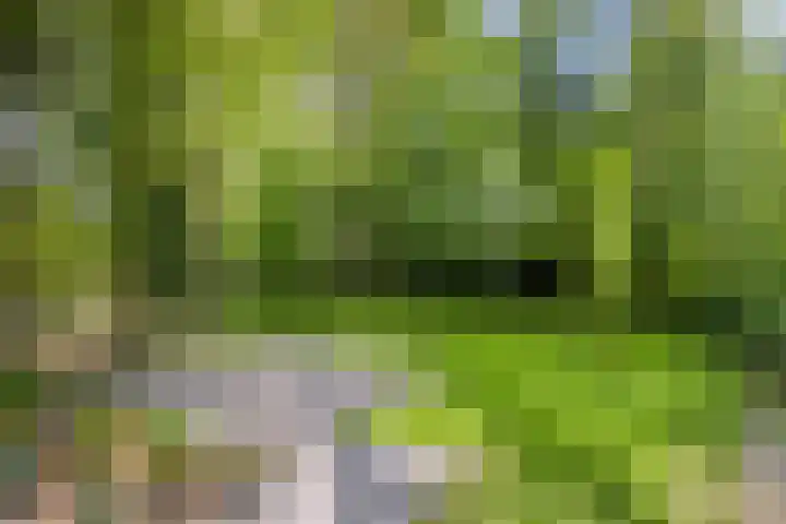 Gieterweg 6 a 14 Gasselte thumbnail 6