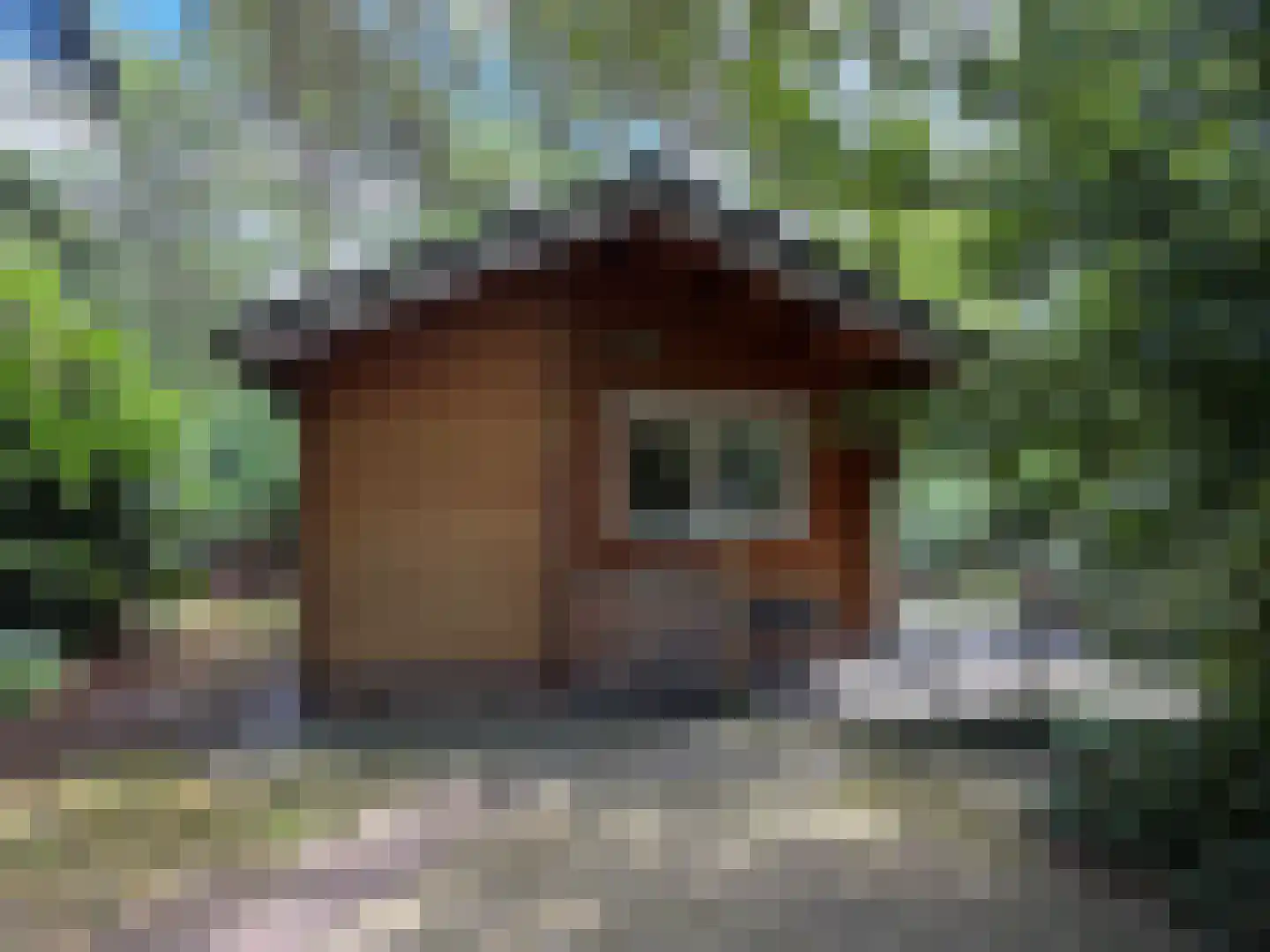 Giethemer hooiweg 7 Ommen thumbnail 5