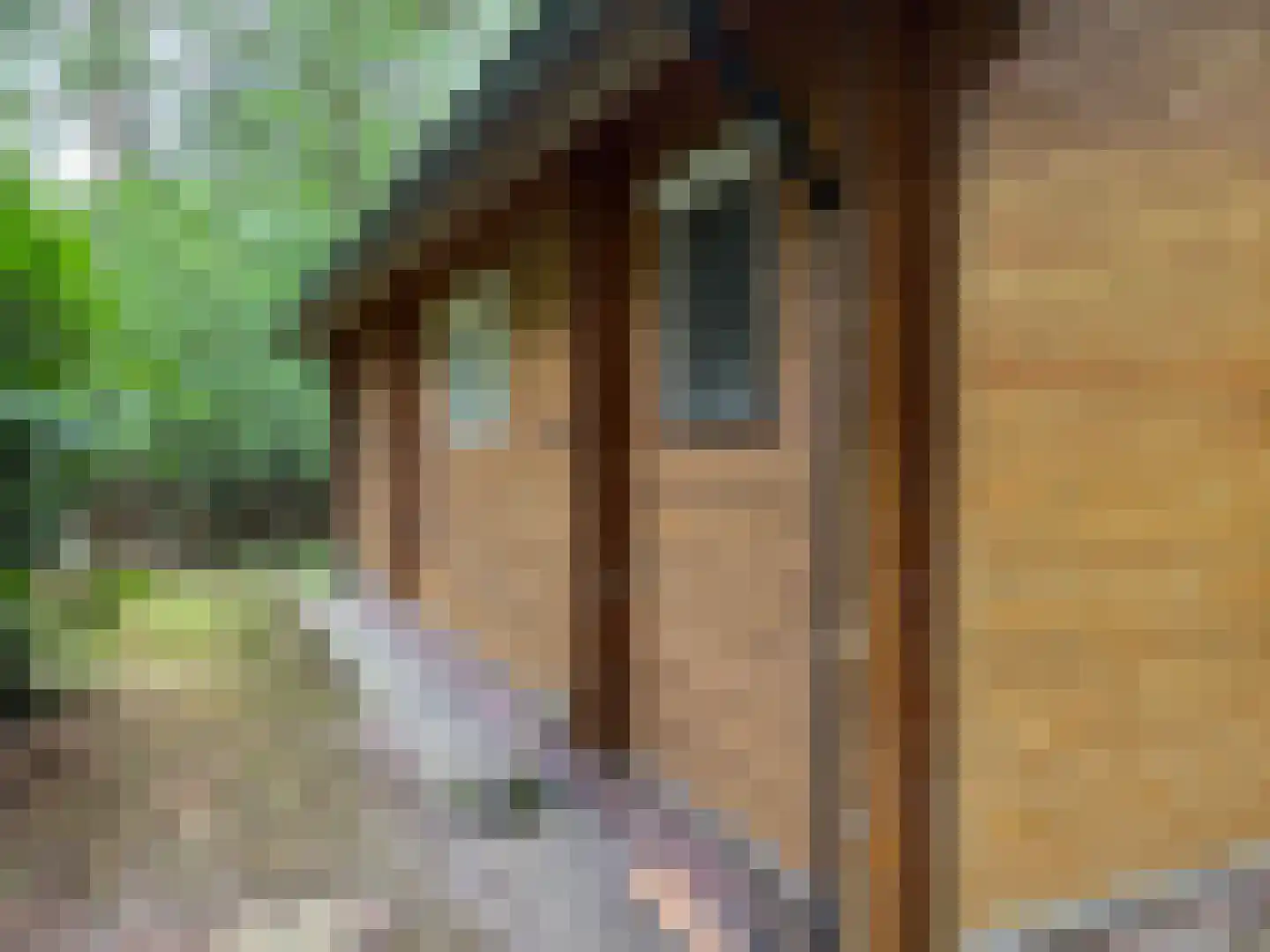 Giethemer hooiweg 7 Ommen thumbnail 6