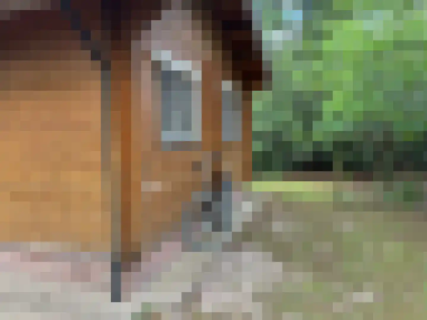 Giethemer hooiweg 7 Ommen thumbnail 7