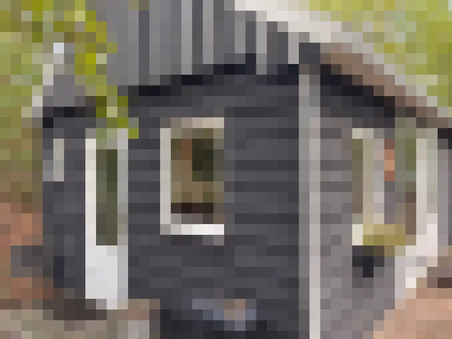 Giethemer hooiweg 8 Ommen thumbnail 11