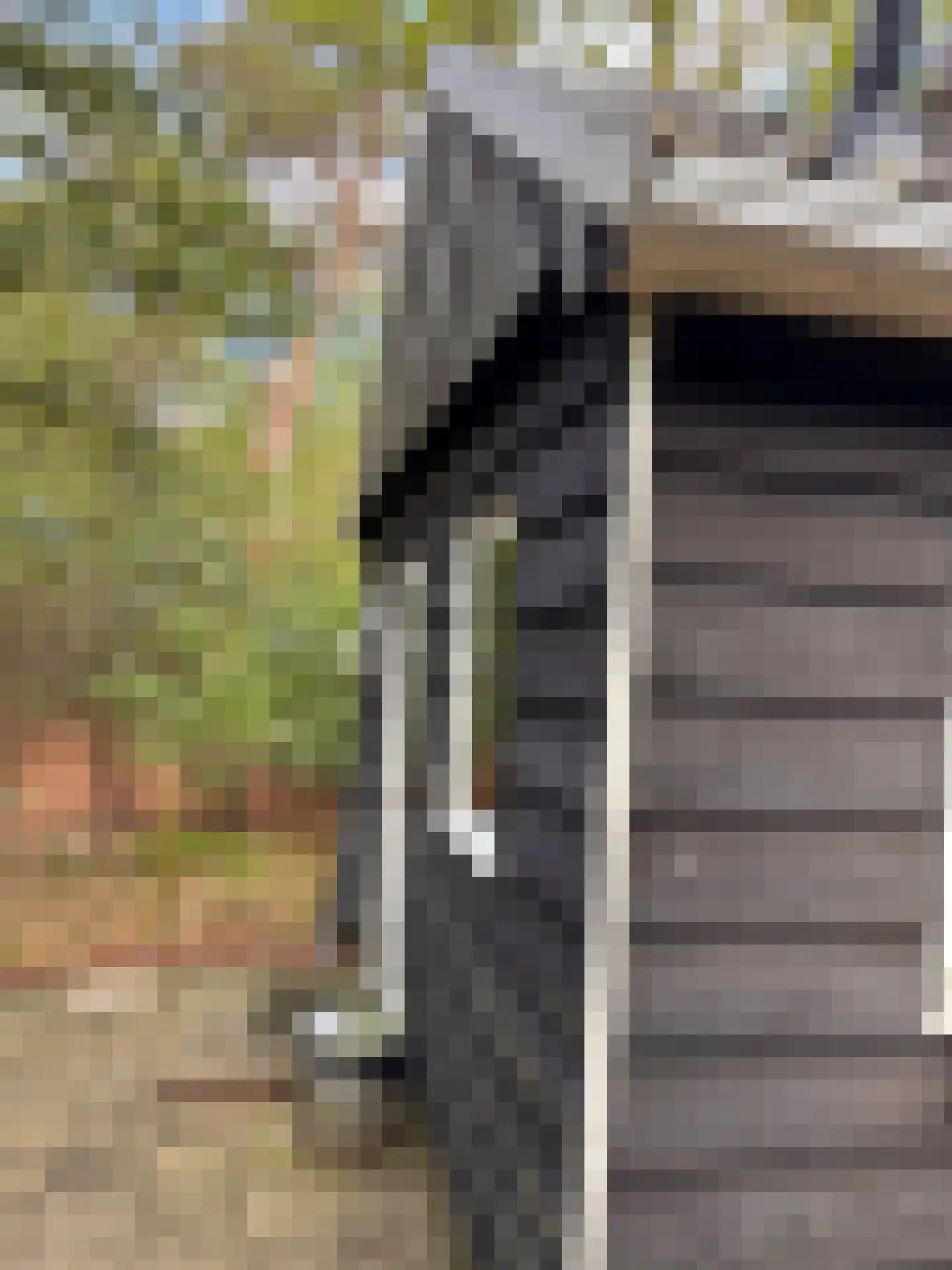 Giethemer hooiweg 8 Ommen thumbnail 16