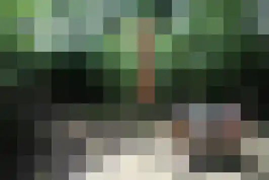 Giethemer hooiweg 8 Ommen thumbnail 7