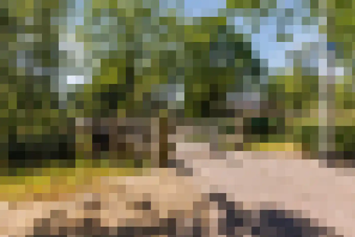 Giethoornsingel 5 Tilburg thumbnail 34