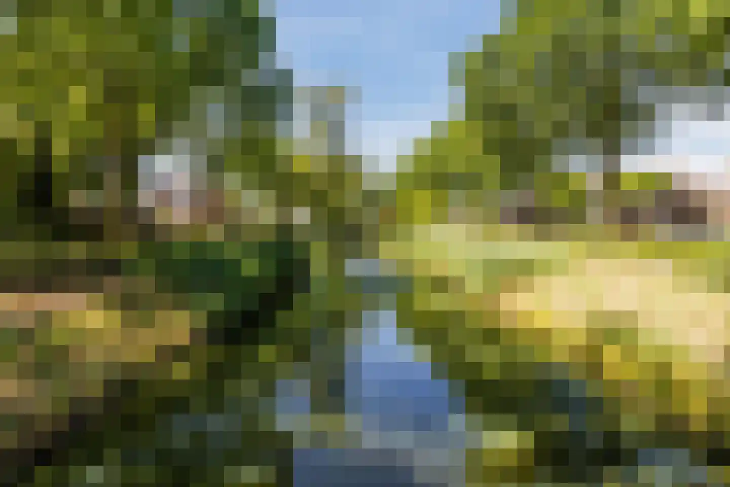 Giethoornsingel 5 Tilburg thumbnail 36