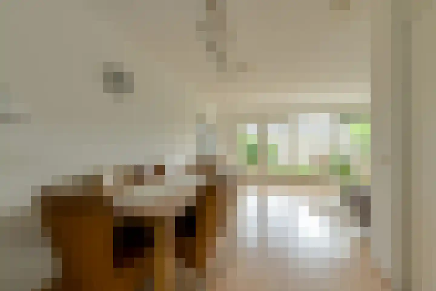 Giethuiserf 13 C Oosterhout thumbnail 13