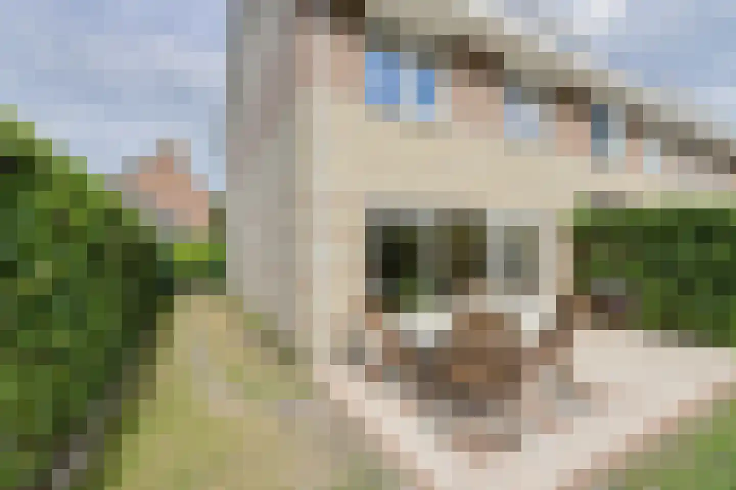 Giethuiserf 13 C Oosterhout thumbnail 36