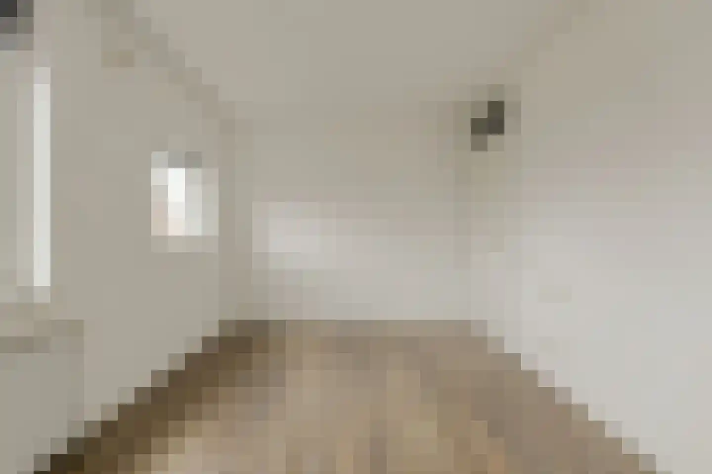 Giethuiserf 22 Oosterhout thumbnail 23