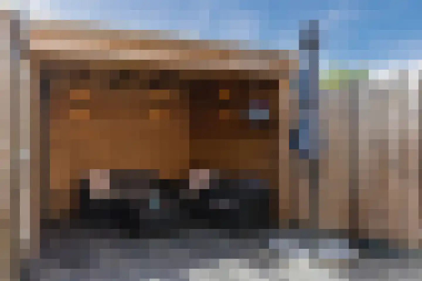 Giethuiserf 41 Oosterhout thumbnail 4