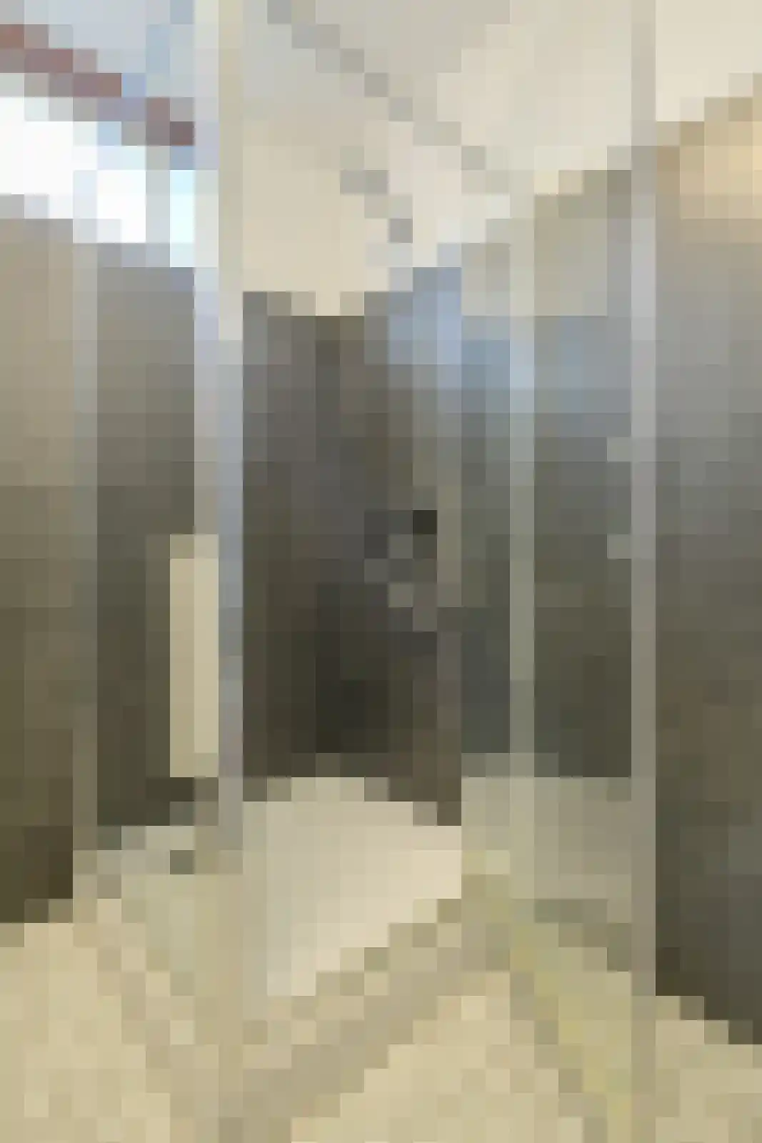 Giethuiserf 49 Oosterhout thumbnail 21