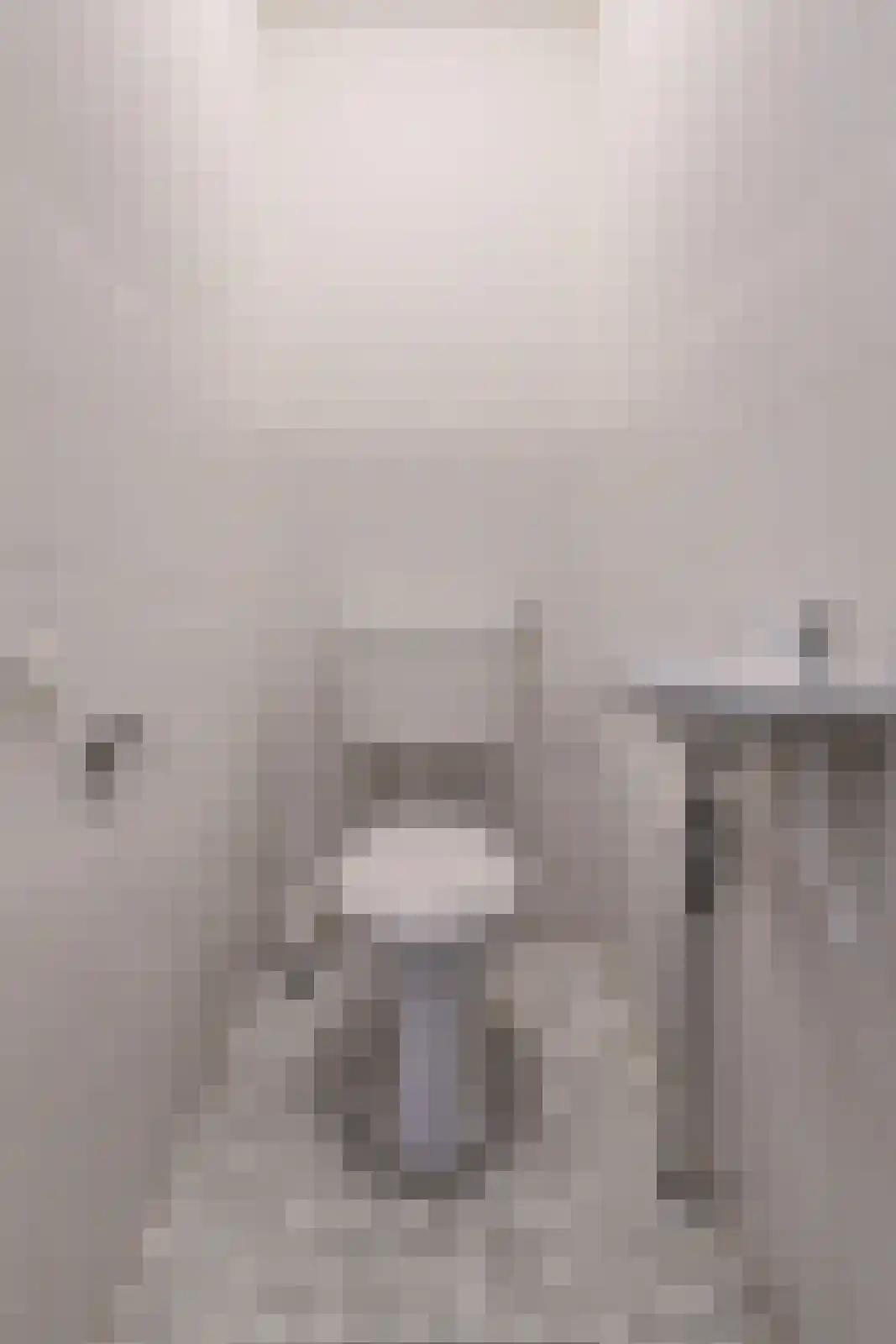 Giethuiserf 68 Oosterhout thumbnail 9