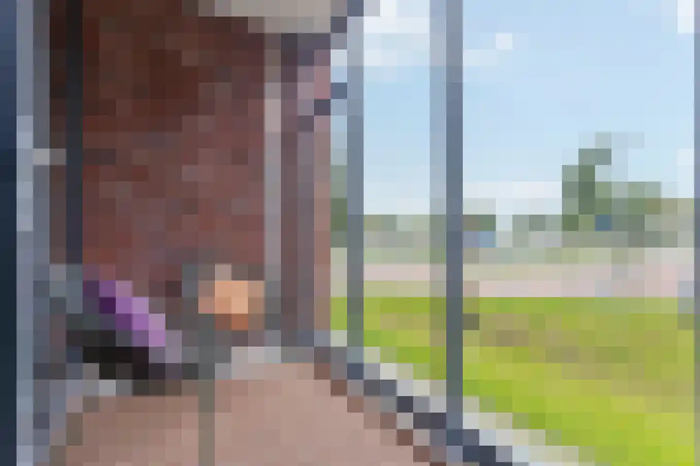Gietijzer 41 Hardinxveld-Giessendam thumbnail 27