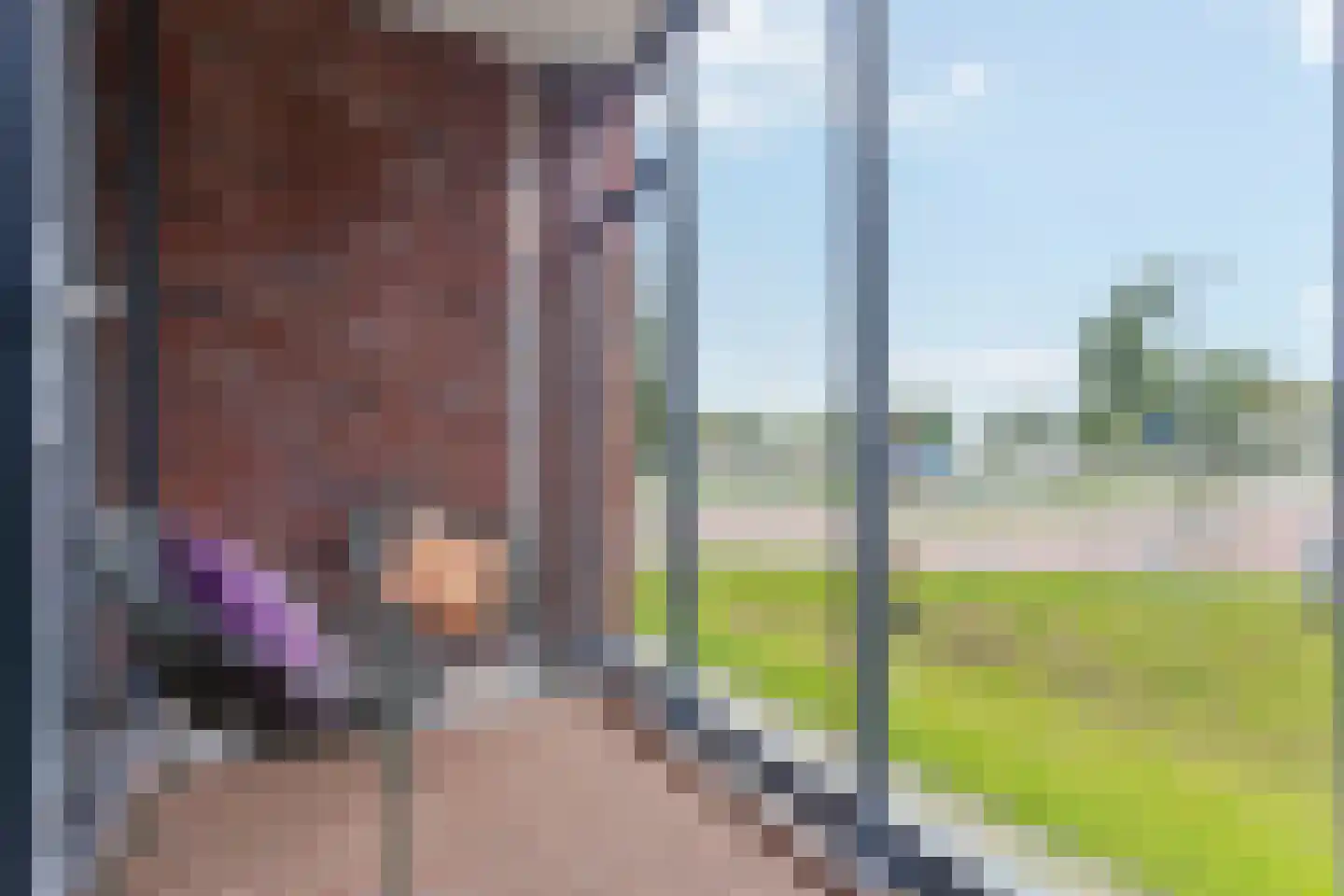 Gietijzer 41 Hardinxveld-Giessendam thumbnail 5