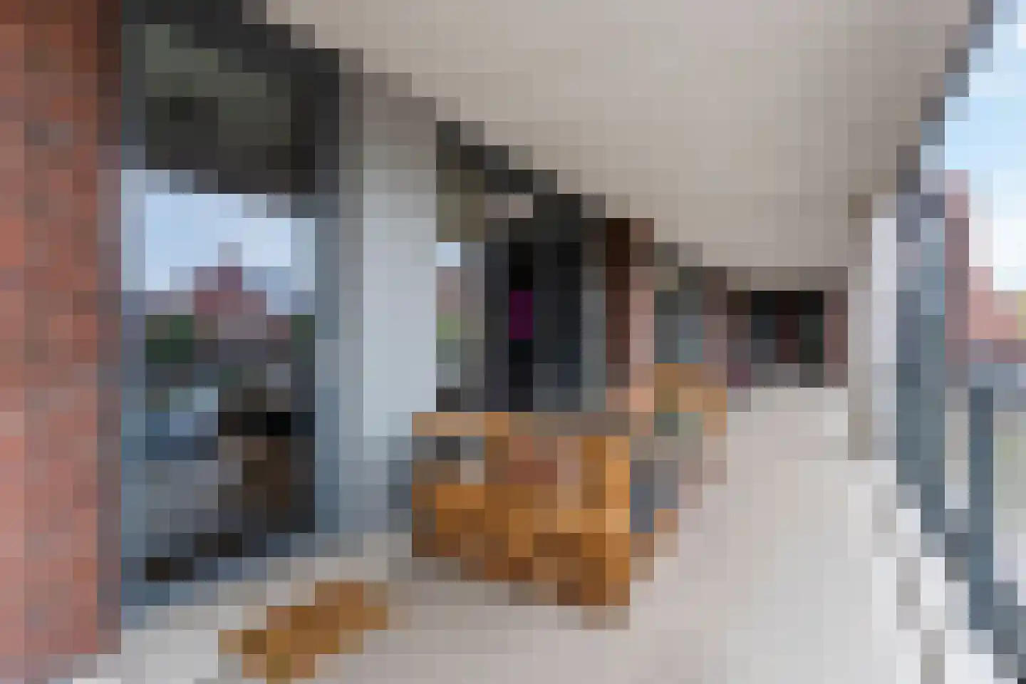 Gietijzer 41 Hardinxveld-Giessendam thumbnail 7