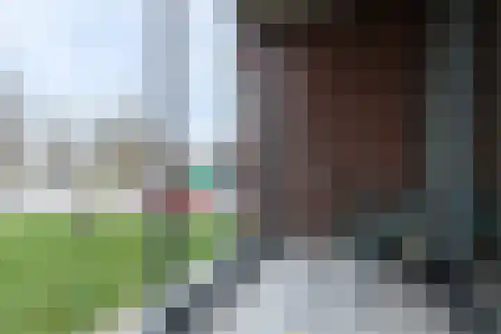 Gietijzer 45 Hardinxveld-Giessendam thumbnail 4