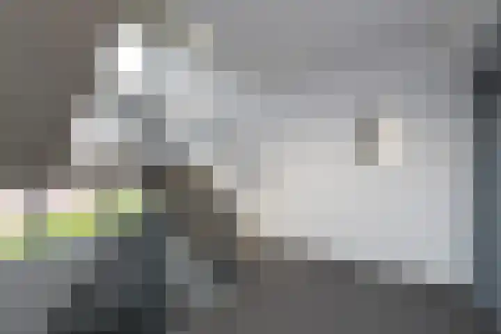 Gietijzer 45 Hardinxveld-Giessendam thumbnail 9
