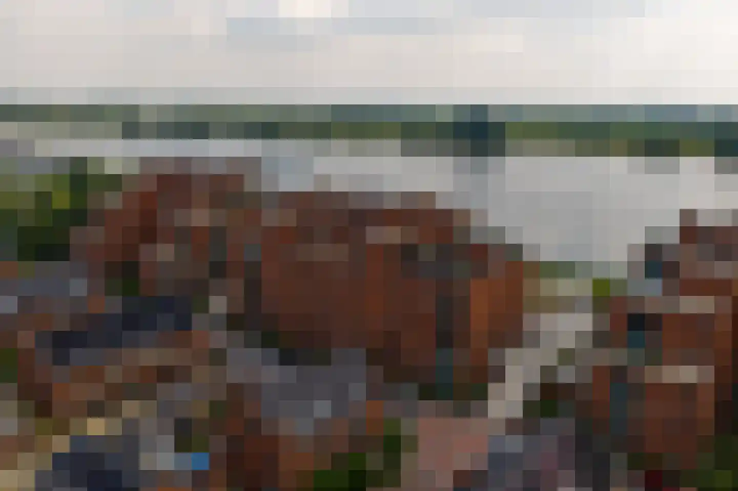 Gietijzer 98 Hardinxveld-Giessendam thumbnail 49