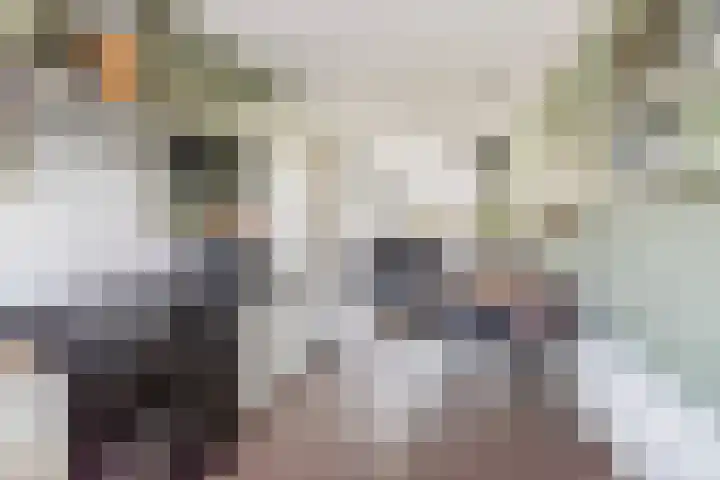 Gietijzerlaan 13 Ulft thumbnail 11