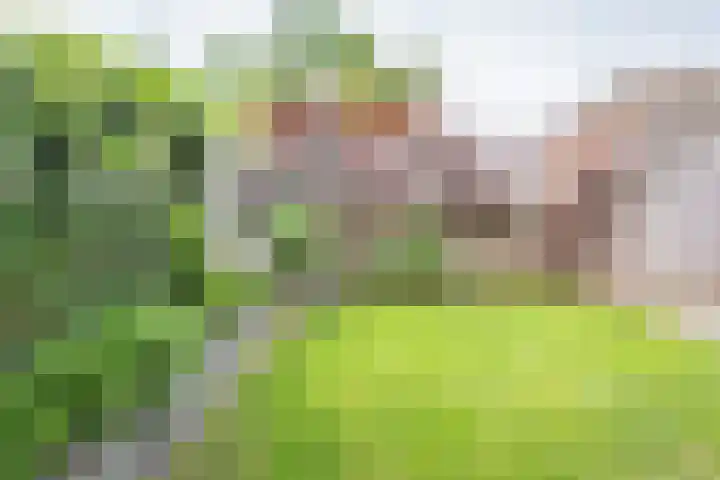 Gietijzerlaan 13 Ulft thumbnail 31