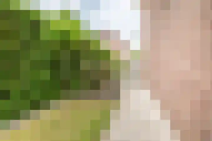 Gietijzerlaan 13 Ulft thumbnail 34