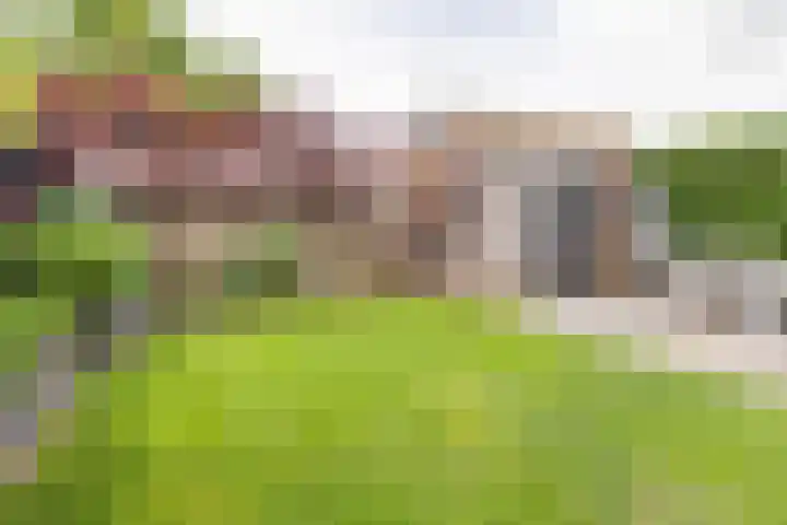 Gietijzerlaan 13 Ulft thumbnail 35