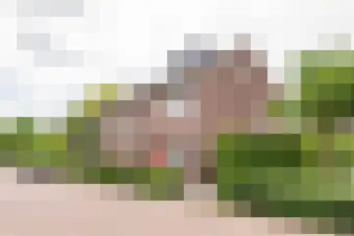 Gietijzerlaan 13 Ulft thumbnail 39