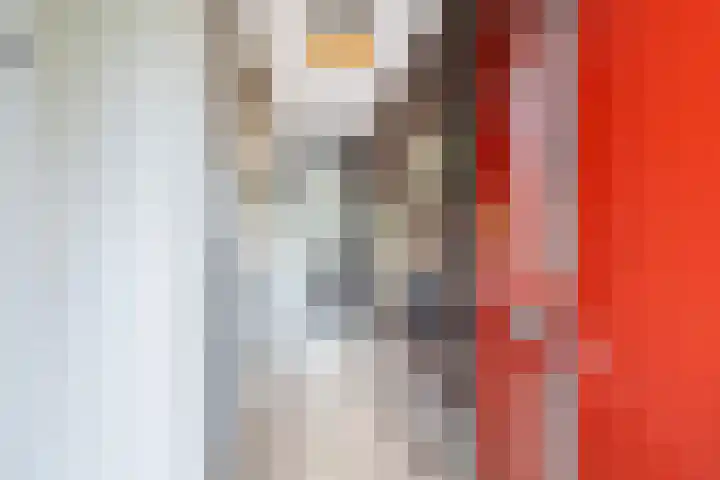 Gietijzerlaan 13 Ulft thumbnail 6